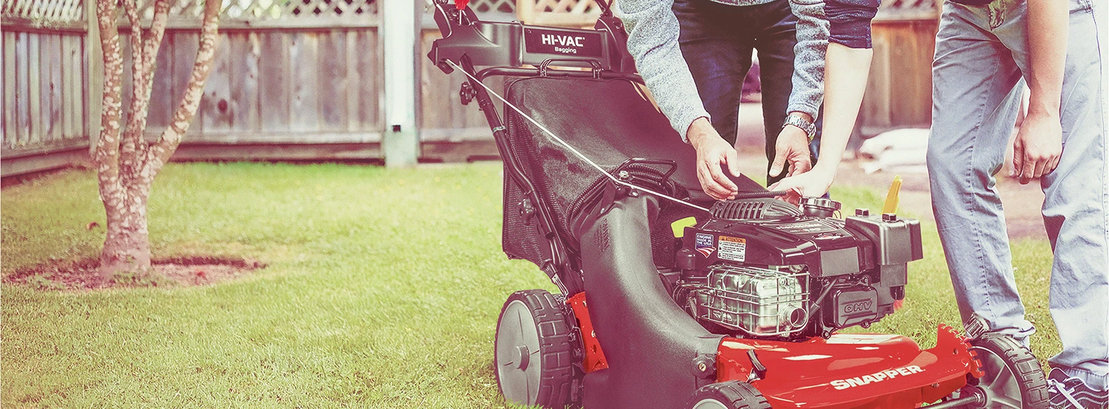 Snapper Shop -Snapper Shop Snapper4