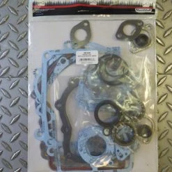 Oregon Briggs & Stratton Engines 495868 50-436 Gasket Set